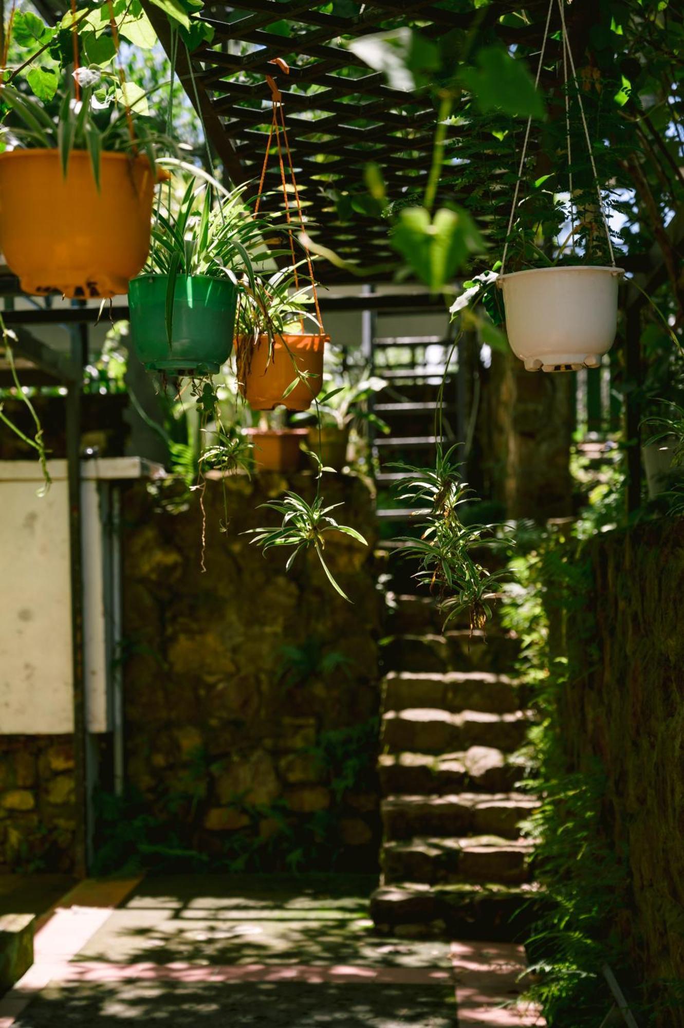 Lilac Cottage Homestay Phú Quốc Exterior foto