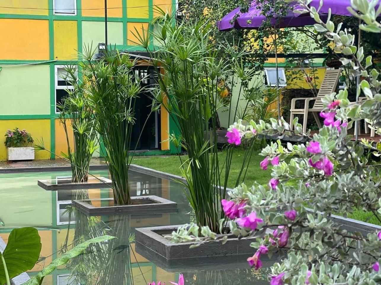 Lilac Cottage Homestay Phú Quốc Exterior foto